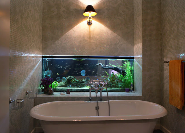 Aquarium
