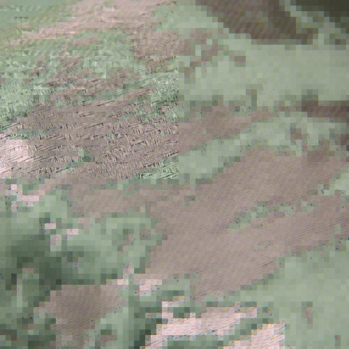 Home Ideas 10 Modern Fabrics pink serenity