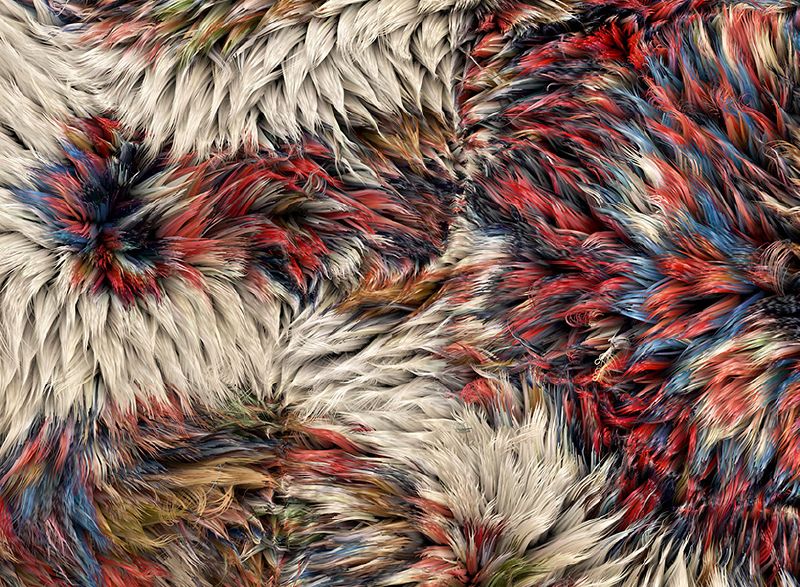 new rug collection by Valerio Sommella
