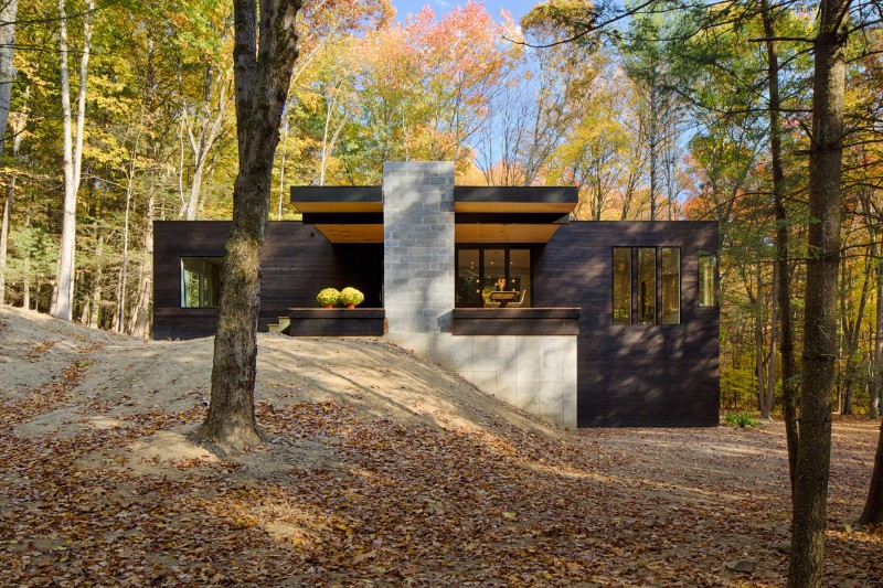 HOW STRIKING IS THIS BLACKENED WOOD CABIN