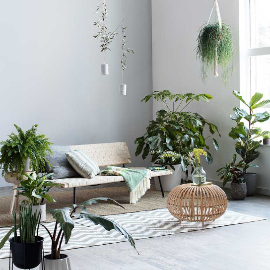 Summer Trends: Discover these Plant-filled Interiors