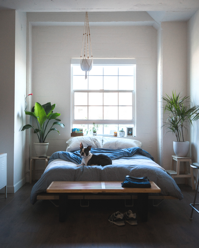 Meet the mid-century modern bedroom of your dreams (4)