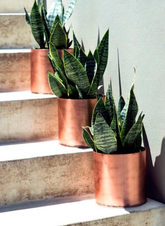5 Trends for your home design interior in 2017